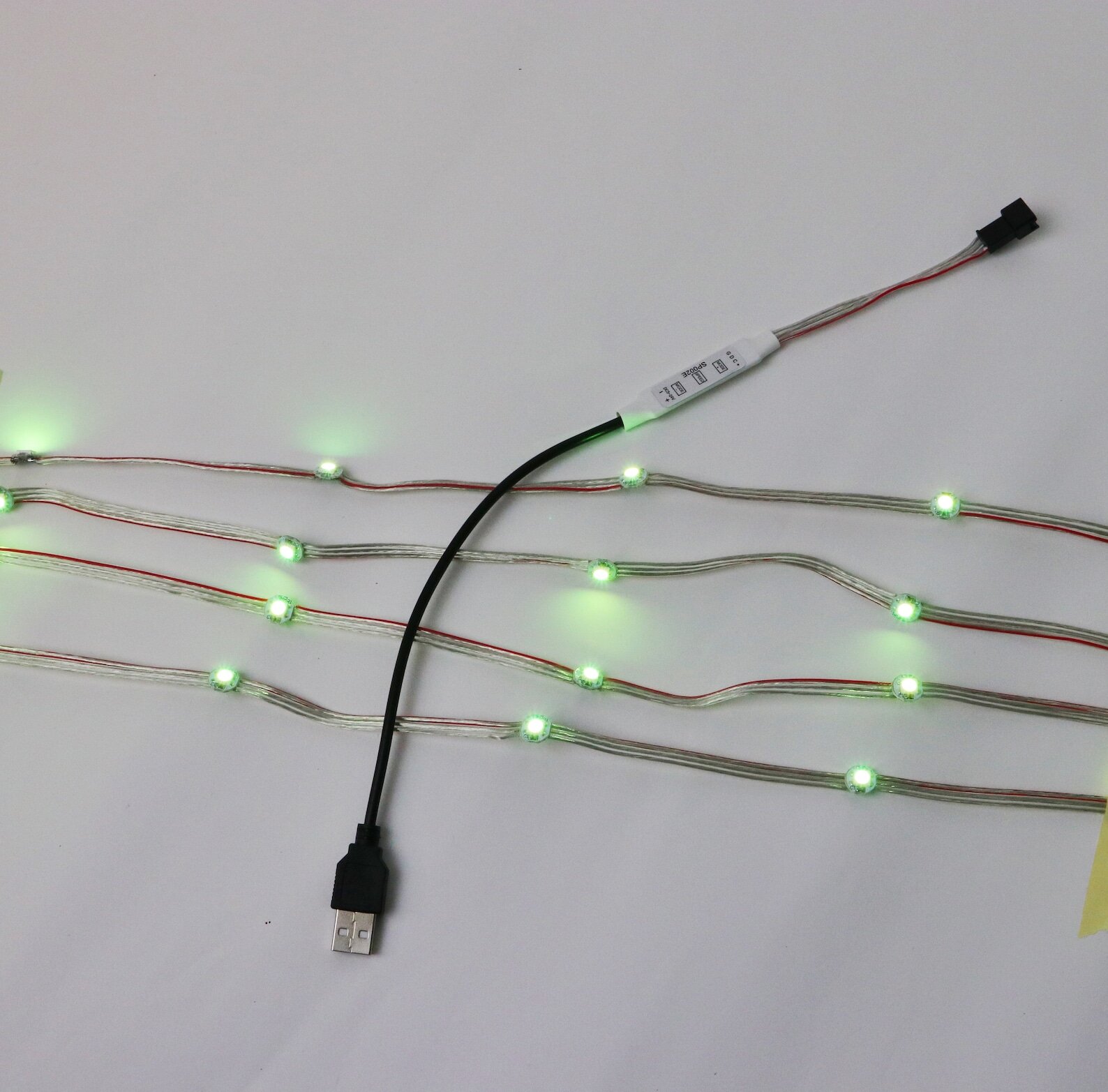 Close-up of flexible LED strand showing individual LEDs and wiring